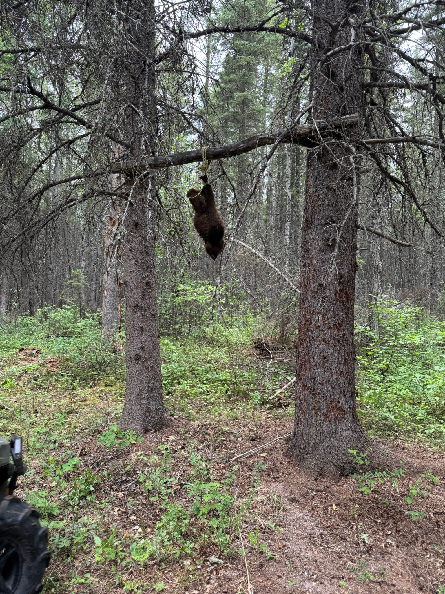 mistatim-outfitting-huniting-equipment27