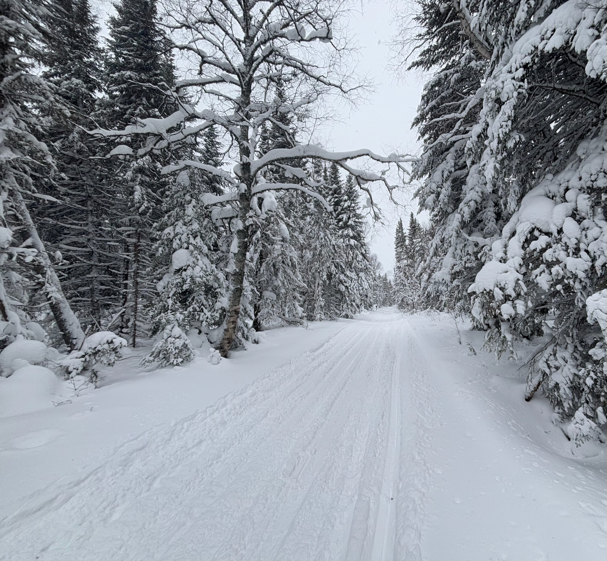 mistatim-outfitting-huniting-scenery18