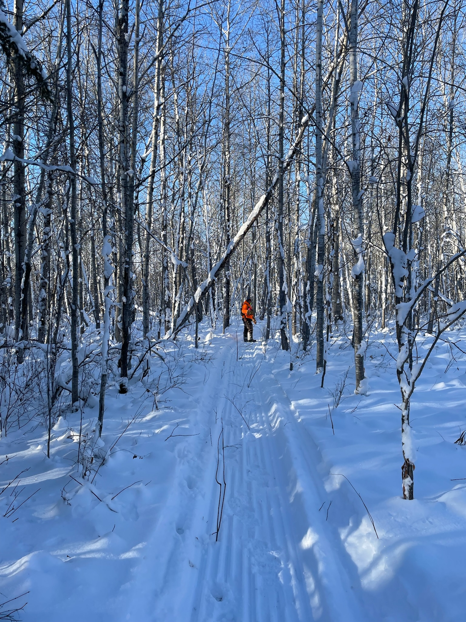 mistatim-outfitting-huniting-scenery19