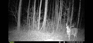 trailcam-sk-whitetail-mistatim-outfitting-huniting-26