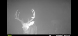 trailcam-sk-whitetail-mistatim-outfitting-huniting-27