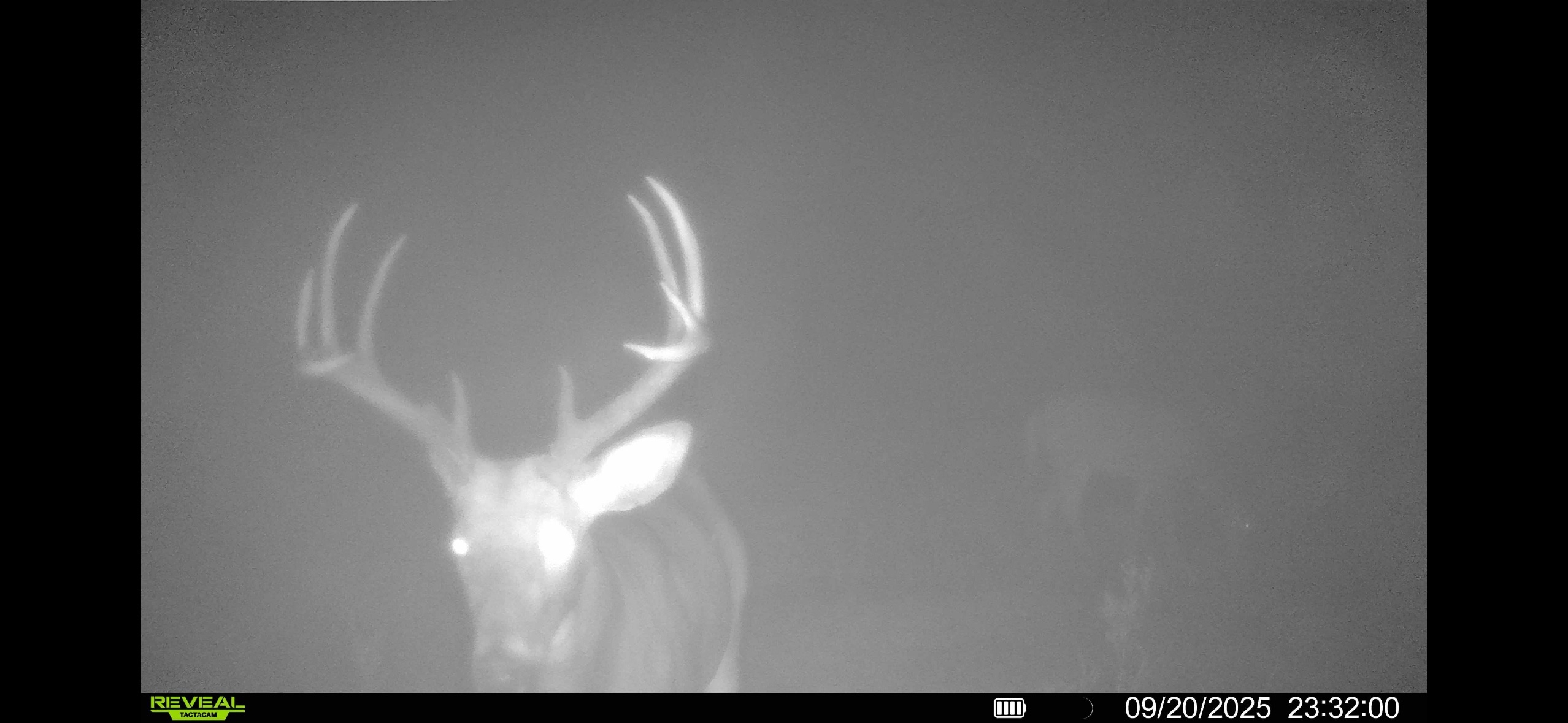 trailcam-sk-whitetail-mistatim-outfitting-huniting-27