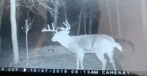 trailcam-sk-whitetail-mistatim-outfitting-huniting-37
